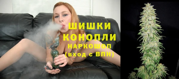PSILOCYBIN Белокуриха