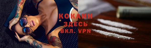 молекула духа Долгопрудный