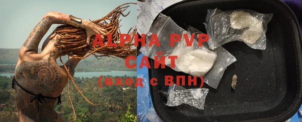 молекула духа Долгопрудный