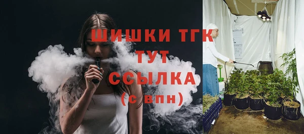 молекула духа Долгопрудный