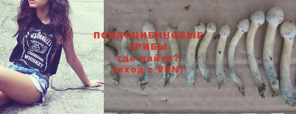 кокс Снежногорск