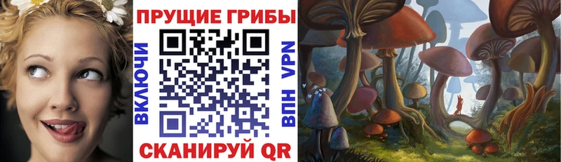 ссылка на мегу tor  Инза  Псилоцибиновые грибы ЛСД 